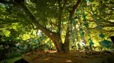 Göz kamaştırıcı bir ağaç parlak kağıt süslemelerle süslenir, güzelliği ve yaratıcılığı gözler önüne serer