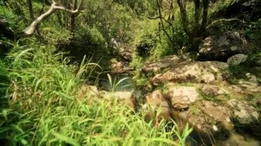 Bereketli yeşilliğin içinden akan sakin bir dere doğanın zarif güzelliğini ve sükunetini gözler önüne seriyor.