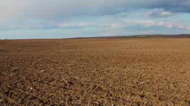 Ekmek yetiştiren muhteşem kırsal alanda insansız hava aracı uçurmak. İlkbahar. Hasat mevsimi. Tarım kavramı.