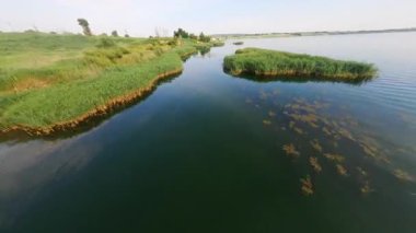 Birdseye FPV yaz mevsiminde muhteşem huzurlu göl üzerinde uçuyor. Güzel deniz manzarası, sahil şeridi ve yüzen kuşlar. Kırsal.