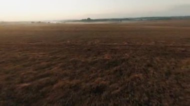 FPV konsepti. Sonbahar mevsiminde pitoresk çayırlarda helikopter uçuşu. Sonsuz tarım alanı, ufuk çizgisi ve beyaz bulutlar. İHA atışı.