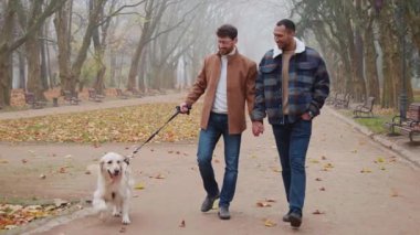 Eşcinsel bir çiftle güz mevsiminde parkta gezen neşeli bir çift.