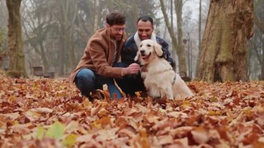 İki aşık adam parkta yaprak dolu yürürken büyük beyaz bir köpeği okşuyor.