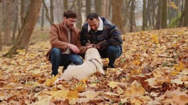 Eşcinsel çok ırklı çift, parkta yapraklarla dolu sopayla büyük beyaz köpekle oynuyorlar.