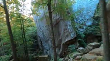 FPV hızla güzel ormana uçuyor. Sinema mistik vahşi ormanlar ve taş kayalar. Seyahat macerası. Manevra yapılabilir helikopter görüntüsü.