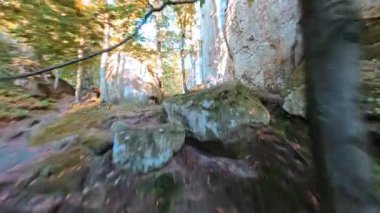 Ormanda hızlı FPV helikopter uçuşu. Sinema manzarası vahşi taş kayalar, dağlar ve ağaçlar. Seyahat yeri. Patikada koşan kız turist. Yürüyüş etkinliği kavramı.