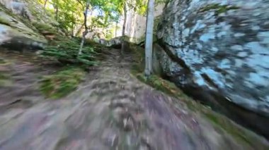 Sinematik sersemletici ormanda FPV uçuşu. Genç, aktif, Kafkas yürüyüşçülerin yürüyüş parkurunda spor yaparken çekilmiş görüntüleri. Seyahat ve özgürlük.