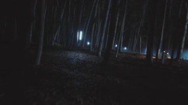 Geceleri ormanda fenerle dolaşan iki dedektifi kapatın. Orman, güvenlik, ekipman, projektör, sis, suçlu. FPV Drone