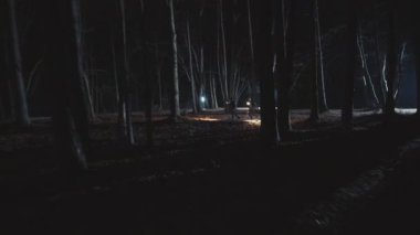 Dedektifler geceleri ormanda fenerle koşan genç adamlar. Orman, güvenlik, ekipman, projektör, sis, suçlu. FPV Drone