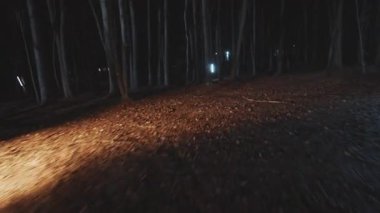 Orman dedektiflerinde geceleri fenerli adamlar. Orman, güvenlik, ekipman, projektör, sis, suçlu. FPV Drone