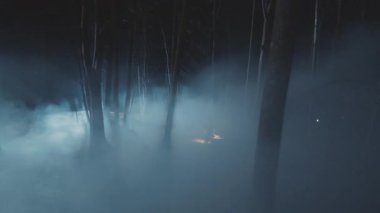 Dedektifler geceleri ormanda fenerli genç adamlar. Orman, güvenlik, ekipman, projektör, sis, suçlu. FPV Drone