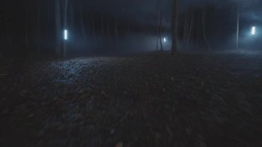 Orman dedektiflerinde geceleri fenerle koşan genç adamlar var. Güvenlik, ekipman, projektör, sis, suçlu. FPV Drone