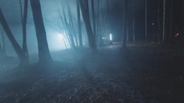 Geceleri ormanda elinde fenerle koşan erkek dedektifler. Orman, güvenlik, ekipman, projektör, sis, suçlu. FPV Drone