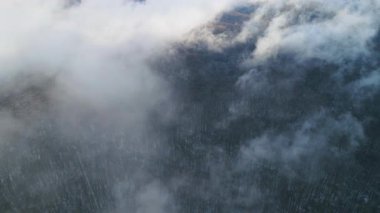 Kış ormanı Göz kamaştırıcı kar manzarası ahşap araziyi ve kırsal alanı kaplıyordu. Soğuk mevsim, bulutlu hava. Beyaz bulut manzarası. Gün doğumu.