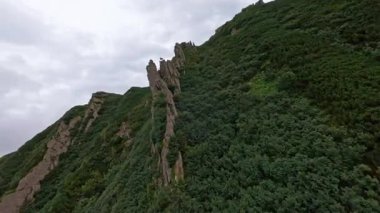 Tepe tepe tepeden dağın tepesine kadar uzanan üst hava manzarası. Ukrayna Karpatı. Yeşil Orman