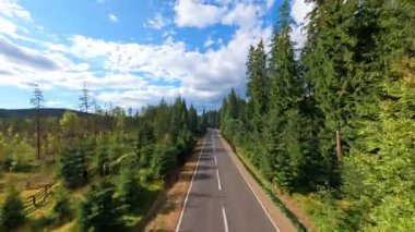 Güzel, dolambaçlı bir yol yemyeşil ağaçlar ve çarpıcı dramatik bir gökyüzünün altındaki canlı açık alanlar arasında uzanıyor.