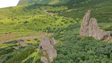 Tepeden tırnağa yükselen büyüleyici hava manzarası. Ukrayna Karpatı. Yeşil Orman