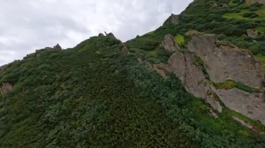 Tepelerden dağın tepesine doğru inanılmaz bir hava manzarası var. Ukrayna Karpatı. Yeşil Orman