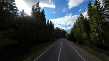 Huzurlu ve huzurlu bir yol, parlak mavi bir gökyüzünün altında, kabarık bulutlarla kaplı yüksek ağaçlarla çevrili, ileriye doğru uzanır.