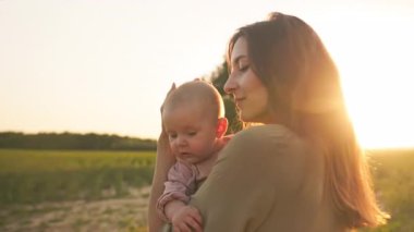 Küçük kız annesinin ellerinde oturuyor. Mutlu çocuk ve gururlu anne ayçiçeği tarlasında oynuyorlar. Mutlu aile kavramı.