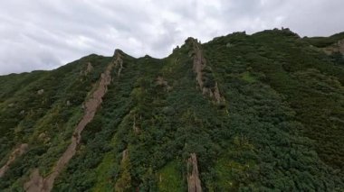 Dağların üzerinden hava manzaralı uçuş. Ukraynalı Karpatlar. Güzel manzara. Bulutlu gökyüzü
