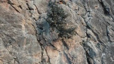 Güzel kaya dokusunun havadan uçuşu dağ zirvelerinin doğal manzarasını oluşturur. Çevre. Vahşi yaşam. Seyahat tutkusu. Seyahat.