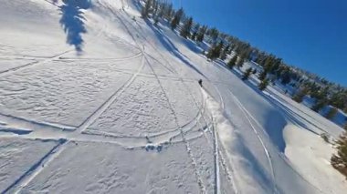 Parlak mavi gökyüzünün altında sonsuz yeşil çam ağaçları arasında süzülen karlı bir manzara, nefes kesici bir manzara.