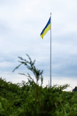 Rüzgarda dalgalanan Ukrayna bayrağı, Anavatanın ünlü heykelinin yanında. Mavi gökyüzündeki Ukrayna 'nın en büyük ulusal bayrağı. Güzel sonbahar manzarası