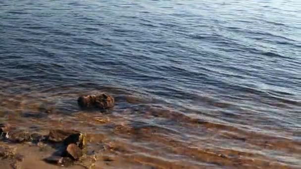 Bulutlu Bir Sonbahar Gününde Nehrin Kıyısındaki Bir Taş Blok Suyun — Stok video