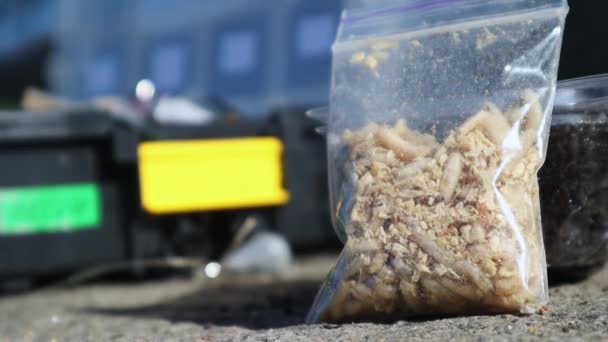 Saco Transparente Fechado Com Larvas Capturadas Larvas Mosca Branca Muitas — Vídeo de Stock