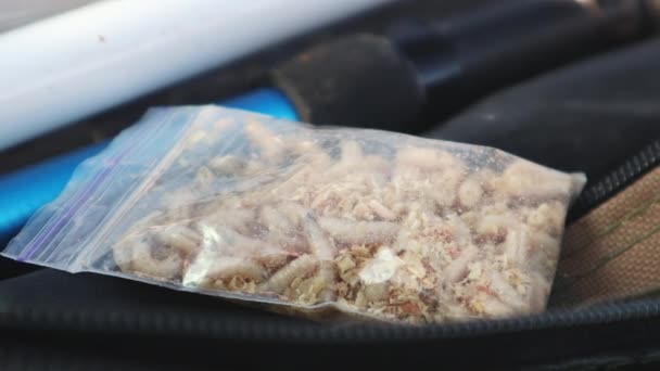Closed Transparent Bag Caught Larvae White Fly Larvae Many Larvae — Stock Video