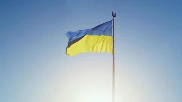 Ukrainas Flagga Ukrainas Officiella Statssymbol Liksom Nationella Symbolerna För Ukrainare — Stockvideo