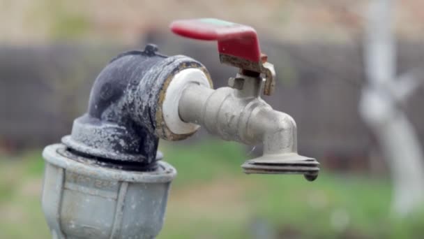 Grifo Agua Fondo Naturaleza Abrir Cerrar Grifo Para Ahorrar Agua — Vídeos de Stock