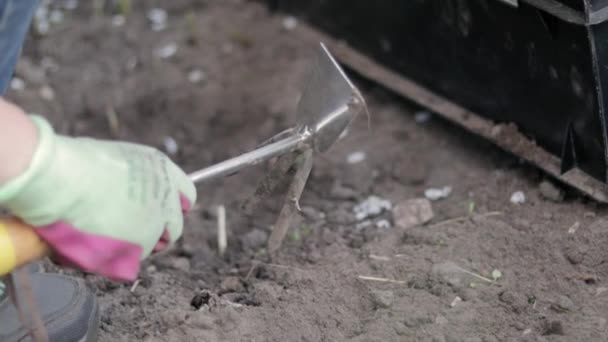 Gardener Rakes Soil Planting Work Garden Womens Hands Gloves Hold — Stockvideo