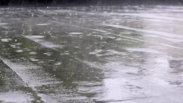 Regndroppar Knackar Taket Kraftigt Regn Skyfall Byggnadens Plana Tak Täckt — Stockvideo
