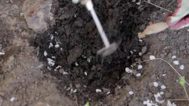 The gardener rakes the earth for planting and gardening. Womens hands in gloves hold a garden tool and loosen the ground, caring for garden plants and growing them. Ukraine, Kyiv - May 8, 2022