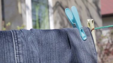 Güneşli bir yaz gününde kotlar çamaşır ipine asılır. Yeni yıkanmış kot pantolon manzarası