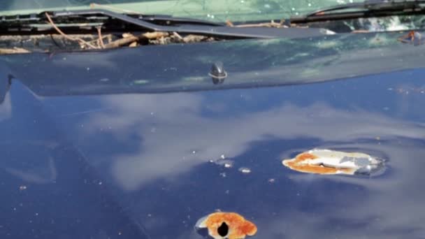 Bullet Hole Car Door Abandoned Car Bullet Holes Destroyed Vehicle — Vídeo de Stock