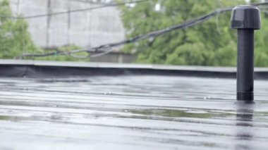 Damlalar çatıya vurur, sağanak yağmur, sağanak yağmur. Binanın düz çatısı yağmurdan koruyan su geçirmez bir maddeyle kaplı. Ruberoid, yuvarlanmış çatı ve su geçirmez malzeme.