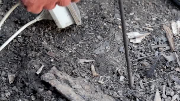 Ekstraksi Cacing Dengan Arus Listrik Pada 220 Volt Menggali Atau — Stok Video