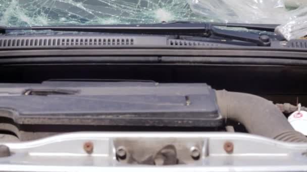 Lyukak Kocsi Szélvédőjén Lőfegyverből Lőtték Golyónyomok Összetört Autó Szélvédője Összetört — Stock videók