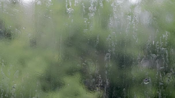 Heavy Rain Raindrops Window Glass Summer Day Selective Focus Shallow — Vídeo de stock