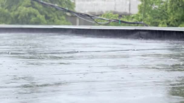 Raindrops Knock Roof Heavy Rain Downpour Flat Roof Building Covered — Video