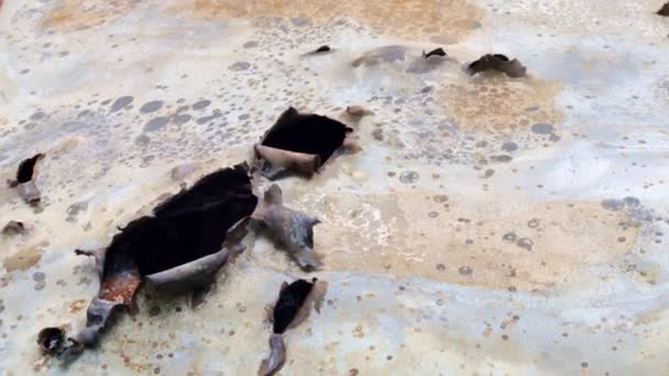 Lot Rusty Burnt Cars City Irpin War Russia Ukraine Destroyed — Wideo stockowe
