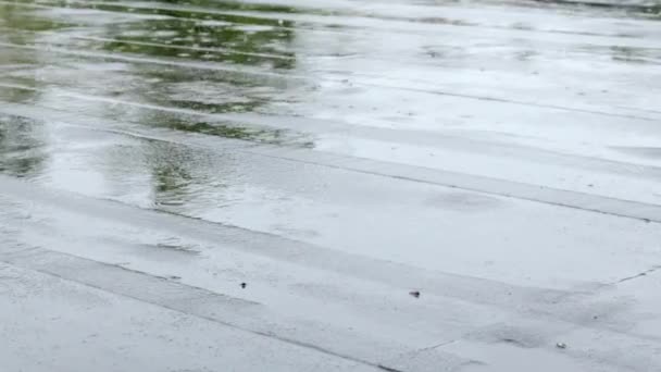 Дах Вдаряють Дощі Падає Дощ Злива Плоский Дах Будинку Покритий — стокове відео