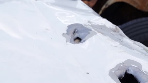 White Car Riddled Bullets War Russia Ukraine Car Civilians Shot — Stockvideo