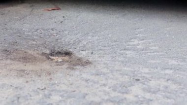 Araba kurşunla delik deşik olmuş. Rusya 'nın Ukrayna' ya karşı savaşı. Kyiv bölgesindeki savaş bölgesini boşaltmaya çalışırken sivillerin arabasını vurdu. Arabanın arkasında kurşun izleri var.