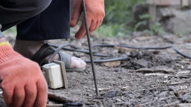 以220伏特的电流提取蠕虫 不用铲子就把虫子从地里挖出来或引诱出来 在黑土中用作钓饵或堆肥的蠕虫 — 图库视频影像