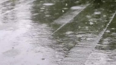 Damlalar çatıya vurur, sağanak yağmur, sağanak yağmur. Binanın düz çatısı yağmurdan koruyan su geçirmez bir maddeyle kaplı. Ruberoid, yuvarlanmış çatı ve su geçirmez malzeme.