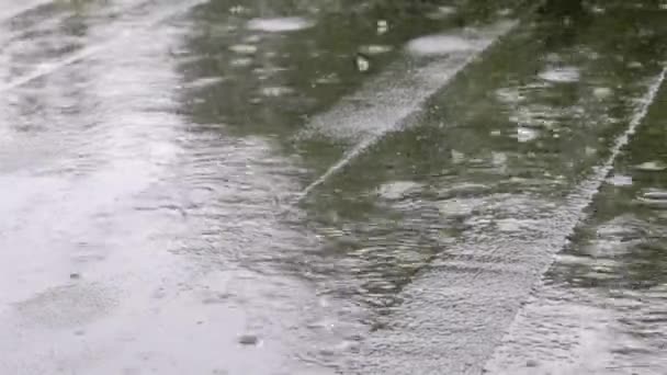 Дах Вдаряють Дощі Падає Дощ Злива Плоский Дах Будинку Покритий — стокове відео